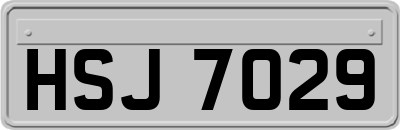 HSJ7029