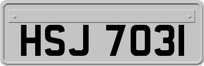 HSJ7031