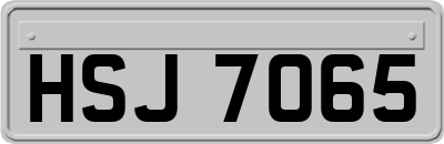 HSJ7065
