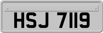 HSJ7119