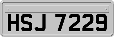 HSJ7229