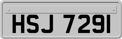 HSJ7291