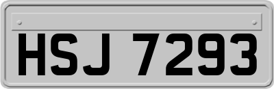 HSJ7293