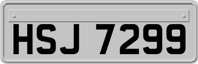 HSJ7299