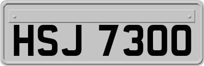 HSJ7300