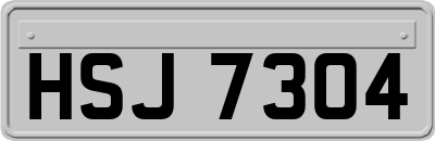 HSJ7304