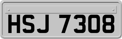 HSJ7308