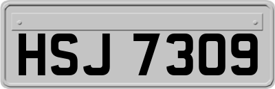 HSJ7309