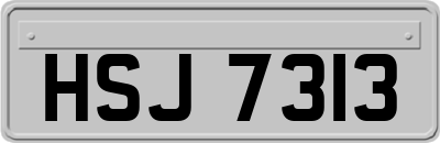 HSJ7313