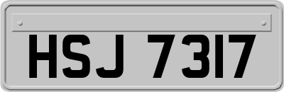 HSJ7317