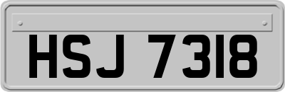 HSJ7318