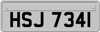 HSJ7341