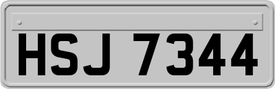 HSJ7344