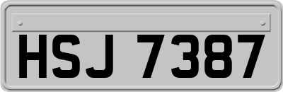 HSJ7387