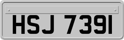 HSJ7391