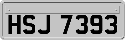HSJ7393