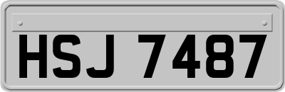 HSJ7487