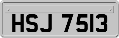 HSJ7513