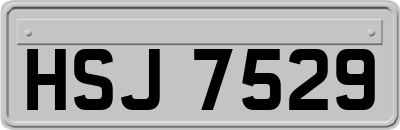 HSJ7529