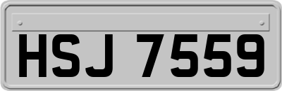HSJ7559