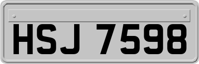 HSJ7598