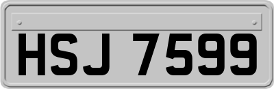 HSJ7599