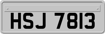 HSJ7813