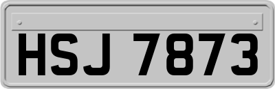 HSJ7873