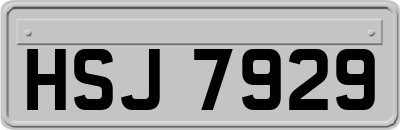 HSJ7929