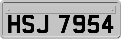 HSJ7954