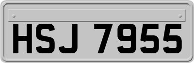 HSJ7955