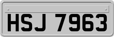 HSJ7963