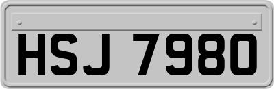 HSJ7980