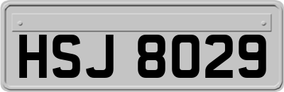 HSJ8029
