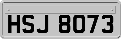 HSJ8073