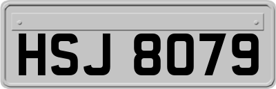 HSJ8079