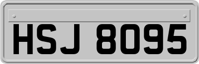 HSJ8095