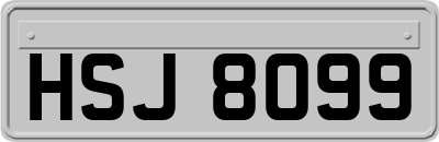 HSJ8099