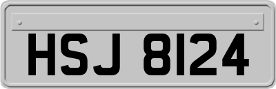 HSJ8124