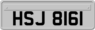 HSJ8161