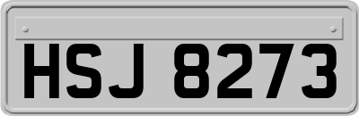 HSJ8273