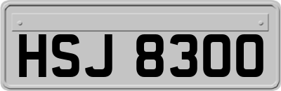 HSJ8300