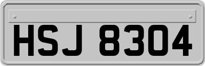 HSJ8304