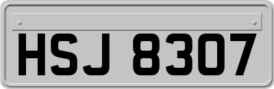 HSJ8307