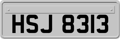 HSJ8313