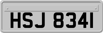 HSJ8341