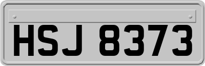 HSJ8373