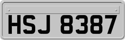 HSJ8387
