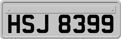 HSJ8399