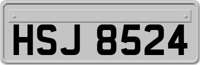 HSJ8524